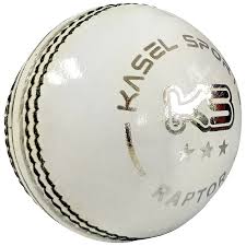 KS Raptor White Cricket Ball